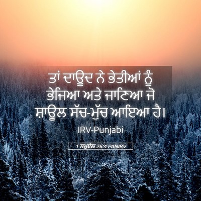 Picture 05 - 1 ਸਮੂਏਲ 26:4 PANIRV - ਤਾਂ ਦਾਊਦ ਨੇ ਭੇਤੀਆਂ - Bible Verse Picture