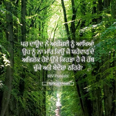 Picture 05 - 1 ਸਮੂਏਲ 26:9 PANIRV - ਪਰ ਦਾਊਦ ਨੇ ਅਬੀਸ਼ਈ - Bible Verse Picture