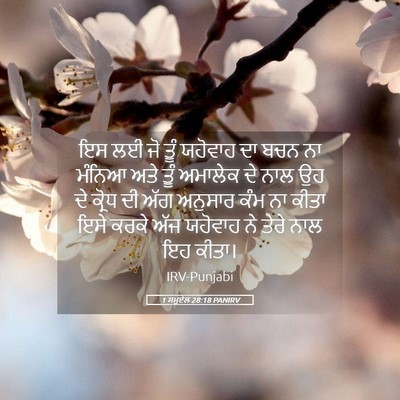 Picture 05 - 1 ਸਮੂਏਲ 28:18 PANIRV - ਇਸ ਲਈ ਜੋ ਤੂੰ ਯਹੋਵਾਹ - Bible Verse Picture