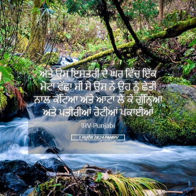 Picture 05 - 1 ਸਮੂਏਲ 28:24 PANIRV - ਅਤੇ ਉਸ ਇਸਤਰੀ ਦੇ ਘਰ - Bible Verse Picture