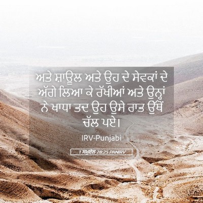 Picture 05 - 1 ਸਮੂਏਲ 28:25 PANIRV - ਅਤੇ ਸ਼ਾਊਲ ਅਤੇ ਉਹ ਦੇ - Bible Verse Picture