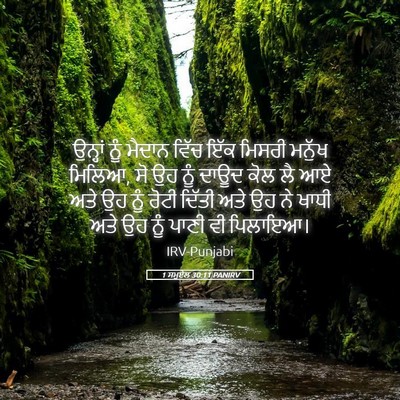 Picture 05 - 1 ਸਮੂਏਲ 30:11 PANIRV - ਉਨ੍ਹਾਂ ਨੂੰ ਮੈਦਾਨ - Bible Verse Picture