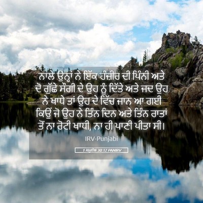 Picture 05 - 1 ਸਮੂਏਲ 30:12 PANIRV - ਨਾਲੇ ਉਨ੍ਹਾਂ ਨੇ ਇੱਕ - Bible Verse Picture
