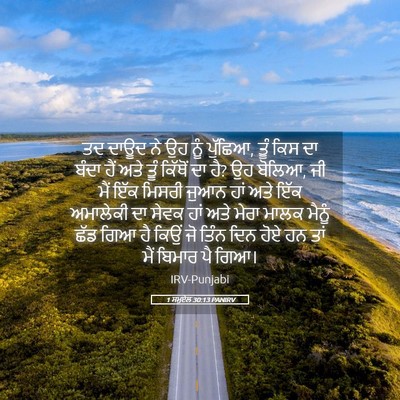 Picture 05 - 1 ਸਮੂਏਲ 30:13 PANIRV - ਤਦ ਦਾਊਦ ਨੇ ਉਹ ਨੂੰ - Bible Verse Picture