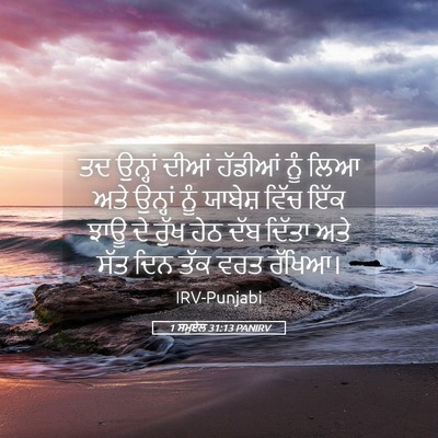 Picture 05 - 1 ਸਮੂਏਲ 31:13 PANIRV - ਤਦ ਉਨ੍ਹਾਂ ਦੀਆਂ - Bible Verse Picture