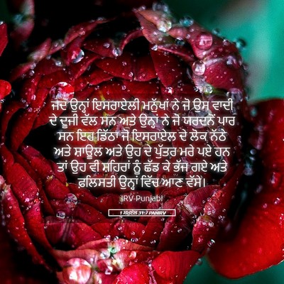 Picture 05 - 1 ਸਮੂਏਲ 31:7 PANIRV - ਜਦ ਉਨ੍ਹਾਂ ਇਸਰਾਏਲੀ - Bible Verse Picture