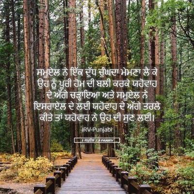Picture 05 - 1 ਸਮੂਏਲ 7:9 PANIRV - ਸਮੂਏਲ ਨੇ ਇੱਕ ਦੁੱਧ - Bible Verse Picture
