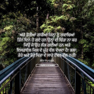 Picture 05 - 1 ਸਮੂਏਲ 9:20 PANIRV - ਅਤੇ ਤੇਰੀਆਂ ਗਧੀਆਂ - Bible Verse Picture
