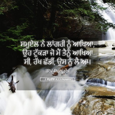Picture 05 - 1 ਸਮੂਏਲ 9:23 PANIRV - ਸਮੂਏਲ ਨੇ ਲਾਂਗਰੀ - Bible Verse Picture