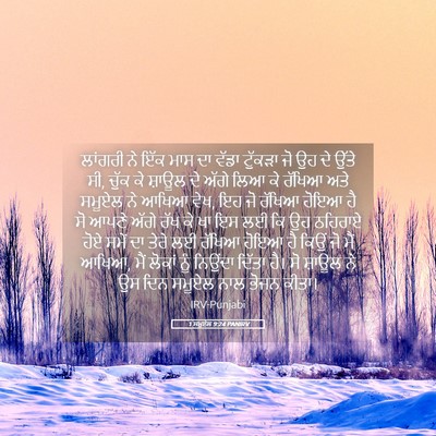 Picture 05 - 1 ਸਮੂਏਲ 9:24 PANIRV - ਲਾਂਗਰੀ ਨੇ ਇੱਕ ਮਾਸ - Bible Verse Picture