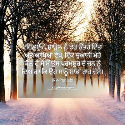 Picture 05 - 1 ਸਮੂਏਲ 9:8 PANIRV - ਟਹਿਲੂਏ ਨੇ ਸ਼ਾਊਲ - Bible Verse Picture