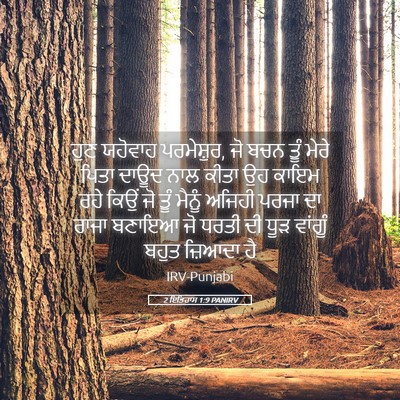 Picture 05 - 2 ਇਤਿਹਾਸ 1:9 PANIRV - ਹੁਣ ਯਹੋਵਾਹ - Bible Verse Picture