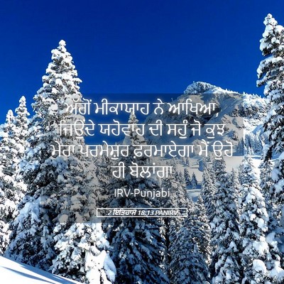 Picture 05 - 2 ਇਤਿਹਾਸ 18:13 PANIRV - ਅੱਗੋਂ ਮੀਕਾਯਾਹ ਨੇ - Bible Verse Picture