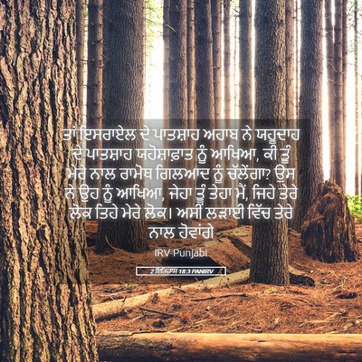 Picture 05 - 2 ਇਤਿਹਾਸ 18:3 PANIRV - ਤਾਂ ਇਸਰਾਏਲ ਦੇ - Bible Verse Picture