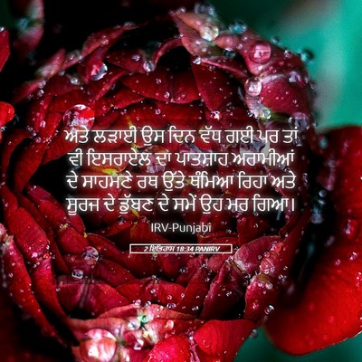 Picture 05 - 2 ਇਤਿਹਾਸ 18:34 PANIRV - ਅਤੇ ਲੜਾਈ ਉਸ ਦਿਨ ਵੱਧ - Bible Verse Picture