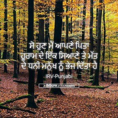 Picture 05 - 2 ਇਤਿਹਾਸ 2:13 PANIRV - ਸੋ ਹੁਣ ਮੈਂ ਆਪਣੇ - Bible Verse Picture