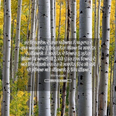 Picture 05 - 2 ਇਤਿਹਾਸ 25:18 PANIRV - ਤਦ ਇਸਰਾਏਲ ਦੇ ਰਾਜਾ - Bible Verse Picture