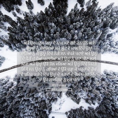 Picture 05 - 2 ਇਤਿਹਾਸ 28:15 PANIRV - ਅਤੇ ਉਹ ਮਨੁੱਖ - Bible Verse Picture