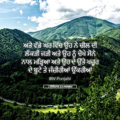 Picture 05 - 2 ਇਤਿਹਾਸ 3:5 PANIRV - ਅਤੇ ਵੱਡੇ ਘਰ ਵਿੱਚ ਉਹ - Bible Verse Picture