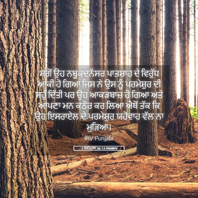 Picture 05 - 2 ਇਤਿਹਾਸ 36:13 PANIRV - ਸਗੋਂ ਉਹ ਨਬੂਕਦਨੱਸਰ - Bible Verse Picture
