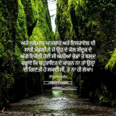 Picture 05 - 2 ਇਤਿਹਾਸ 5:6 PANIRV - ਅਤੇ ਸੁਲੇਮਾਨ - Bible Verse Picture