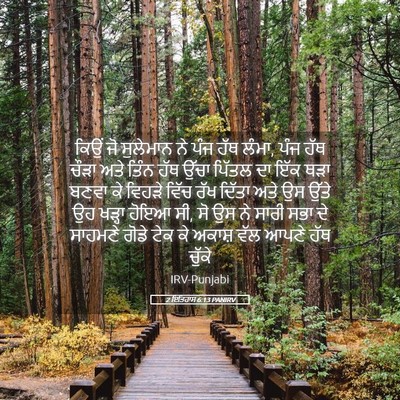 Picture 05 - 2 ਇਤਿਹਾਸ 6:13 PANIRV - ਕਿਉਂ ਜੋ ਸੁਲੇਮਾਨ ਨੇ - Bible Verse Picture