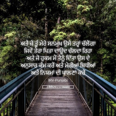 Picture 05 - 2 ਇਤਿਹਾਸ 7:17 PANIRV - ਅਤੇ ਜੇ ਤੂੰ ਮੇਰੇ - Bible Verse Picture