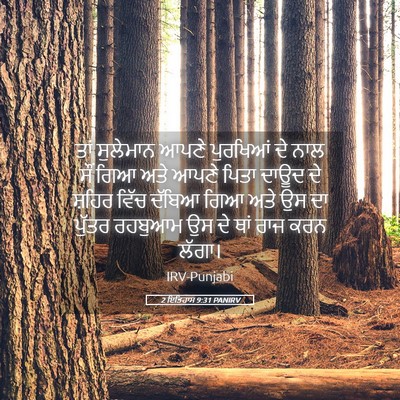 Picture 05 - 2 ਇਤਿਹਾਸ 9:31 PANIRV - ਤਾਂ ਸੁਲੇਮਾਨ ਆਪਣੇ - Bible Verse Picture