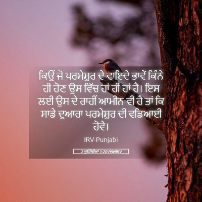 Picture 05 - 2 ਕੁਰਿੰਥੀਆਂ 1:20 PANIRV - ਕਿਉਂ ਜੋ ਪਰਮੇਸ਼ੁਰ - Bible Verse Picture