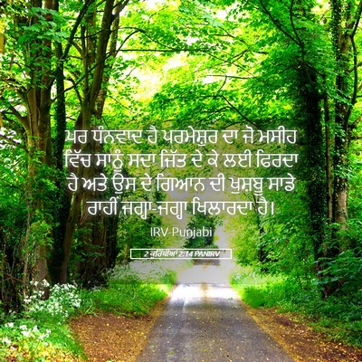 Picture 05 - 2 ਕੁਰਿੰਥੀਆਂ 2:14 PANIRV - ਪਰ ਧੰਨਵਾਦ ਹੈ - Bible Verse Picture