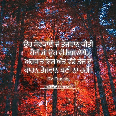 Picture 05 - 2 ਕੁਰਿੰਥੀਆਂ 3:10 PANIRV - ਉਹ ਸੇਵਕਾਈ ਜੋ - Bible Verse Picture