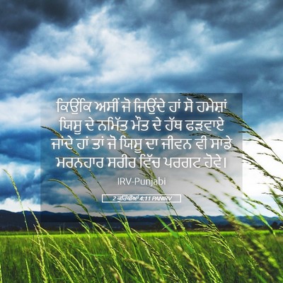 Picture 05 - 2 ਕੁਰਿੰਥੀਆਂ 4:11 PANIRV - ਕਿਉਂਕਿ ਅਸੀਂ ਜੋ - Bible Verse Picture