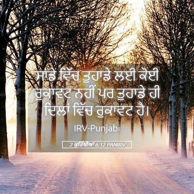 Picture 05 - 2 ਕੁਰਿੰਥੀਆਂ 6:12 PANIRV - ਸਾਡੇ ਵਿੱਚ ਤੁਹਾਡੇ - Bible Verse Picture