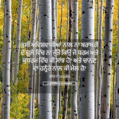 Picture 05 - 2 ਕੁਰਿੰਥੀਆਂ 6:14 PANIRV - ਤੁਸੀਂ ਅਵਿਸ਼ਵਾਸੀਆਂ - Bible Verse Picture