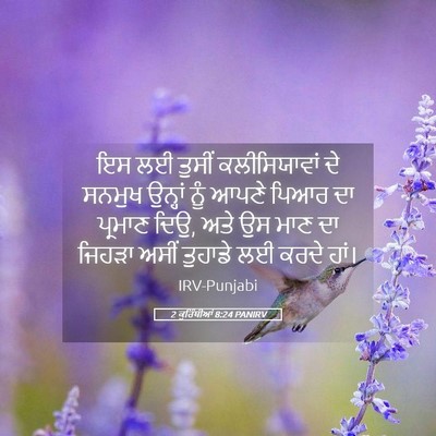 Picture 05 - 2 ਕੁਰਿੰਥੀਆਂ 8:24 PANIRV - ਇਸ ਲਈ ਤੁਸੀਂ - Bible Verse Picture