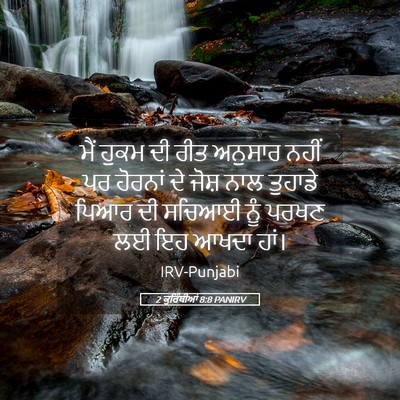 Picture 05 - 2 ਕੁਰਿੰਥੀਆਂ 8:8 PANIRV - ਮੈਂ ਹੁਕਮ ਦੀ ਰੀਤ - Bible Verse Picture