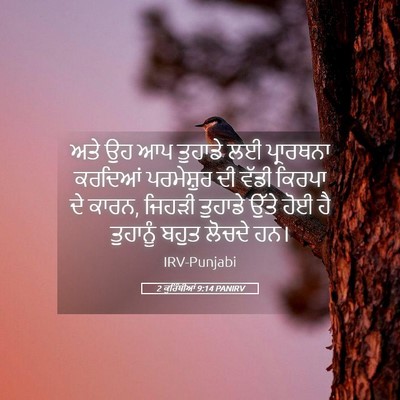 Picture 05 - 2 ਕੁਰਿੰਥੀਆਂ 9:14 PANIRV - ਅਤੇ ਉਹ ਆਪ ਤੁਹਾਡੇ ਲਈ - Bible Verse Picture