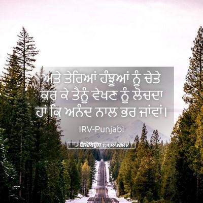 Picture 05 - 2 ਤਿਮੋਥਿਉਸ 1:4 PANIRV - ਅਤੇ ਤੇਰਿਆਂ ਹੰਝੂਆਂ - Bible Verse Picture