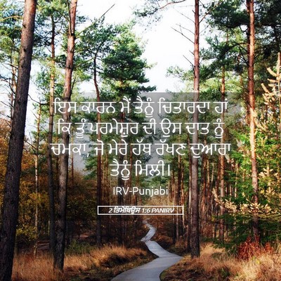 Picture 05 - 2 ਤਿਮੋਥਿਉਸ 1:6 PANIRV - ਇਸ ਕਾਰਨ ਮੈਂ ਤੈਨੂੰ - Bible Verse Picture