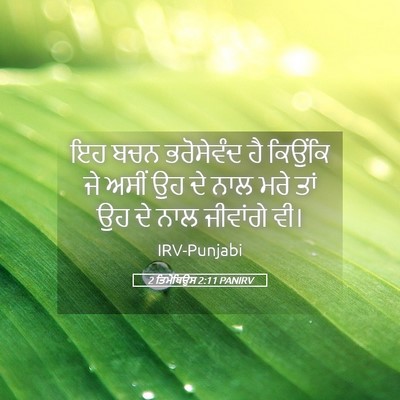 Picture 05 - 2 ਤਿਮੋਥਿਉਸ 2:11 PANIRV - ਇਹ ਬਚਨ ਭਰੋਸੇਵੰਦ ਹੈ - Bible Verse Picture