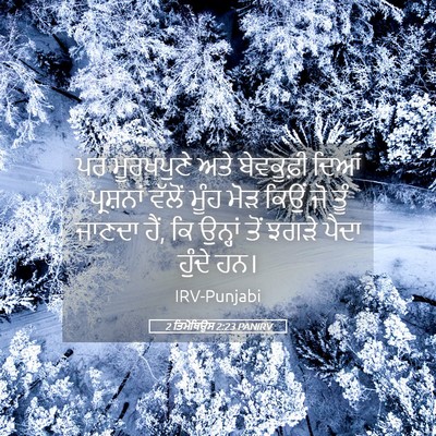 Picture 05 - 2 ਤਿਮੋਥਿਉਸ 2:23 PANIRV - ਪਰ ਮੂਰਖਪੁਣੇ ਅਤੇ - Bible Verse Picture