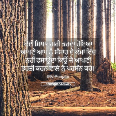 Picture 05 - 2 ਤਿਮੋਥਿਉਸ 2:4 PANIRV - ਕੋਈ ਸਿਪਾਹਗਰੀ ਕਰਦਾ - Bible Verse Picture