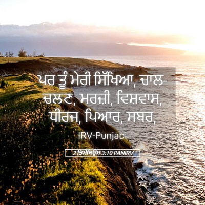 Picture 05 - 2 ਤਿਮੋਥਿਉਸ 3:10 PANIRV - ਪਰ ਤੂੰ ਮੇਰੀ ਸਿੱਖਿਆ, - Bible Verse Picture