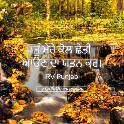 Picture 05 - 2 ਤਿਮੋਥਿਉਸ 4:9 PANIRV - ਤੂੰ ਮੇਰੇ ਕੋਲ ਛੇਤੀ - Bible Verse Picture