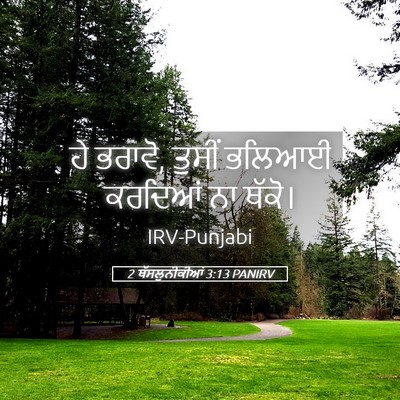 Picture 05 - 2 ਥੱਸਲੁਨੀਕੀਆਂ 3:13 PANIRV - ਹੇ ਭਰਾਵੋ, ਤੁਸੀਂ - Bible Verse Picture