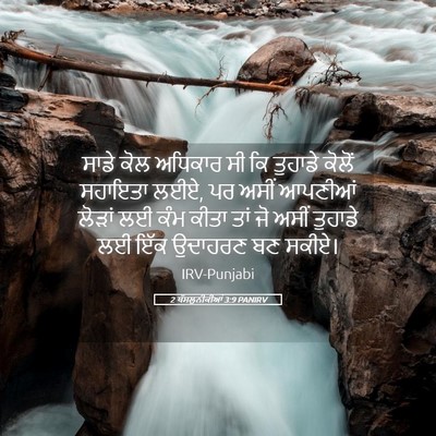 Picture 05 - 2 ਥੱਸਲੁਨੀਕੀਆਂ 3:9 PANIRV - ਸਾਡੇ ਕੋਲ ਅਧਿਕਾਰ ਸੀ - Bible Verse Picture