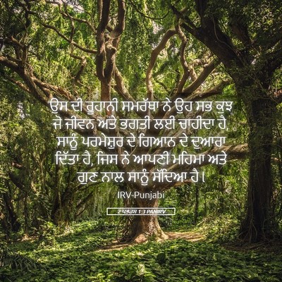Picture 05 - 2 ਪਤਰਸ 1:3 PANIRV - ਉਸ ਦੀ ਰੂਹਾਨੀ - Bible Verse Picture