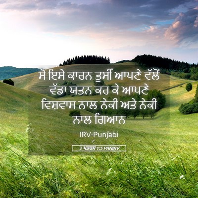 Picture 05 - 2 ਪਤਰਸ 1:5 PANIRV - ਸੋ ਇਸੇ ਕਾਰਨ ਤੁਸੀਂ - Bible Verse Picture