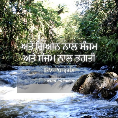 Picture 05 - 2 ਪਤਰਸ 1:6 PANIRV - ਅਤੇ ਗਿਆਨ ਨਾਲ ਸੰਜਮ - Bible Verse Picture