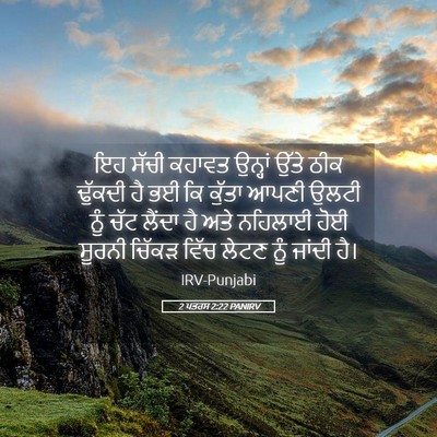 Picture 05 - 2 ਪਤਰਸ 2:22 PANIRV - ਇਹ ਸੱਚੀ ਕਹਾਵਤ - Bible Verse Picture